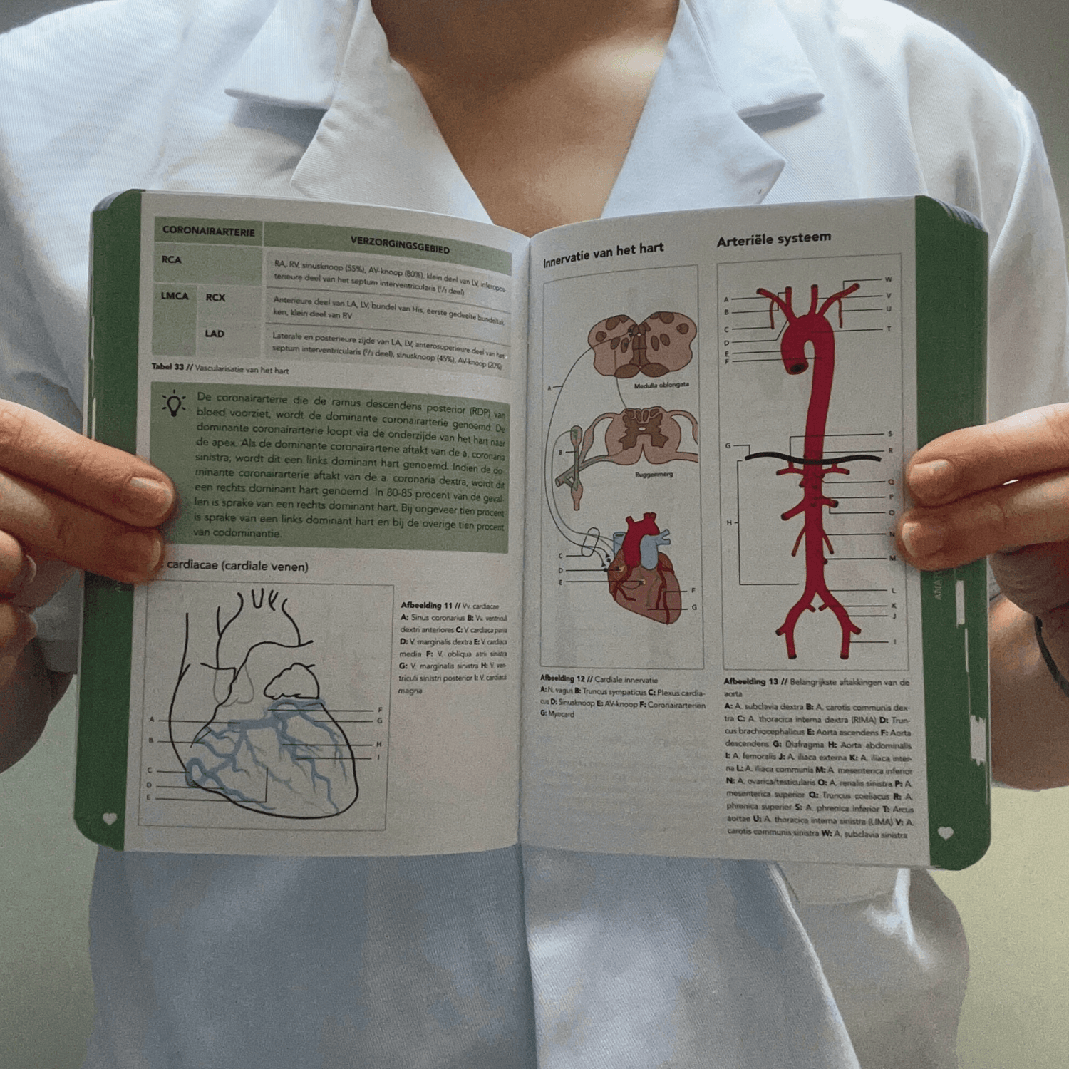 Medical professional holding the Cardiology pocket