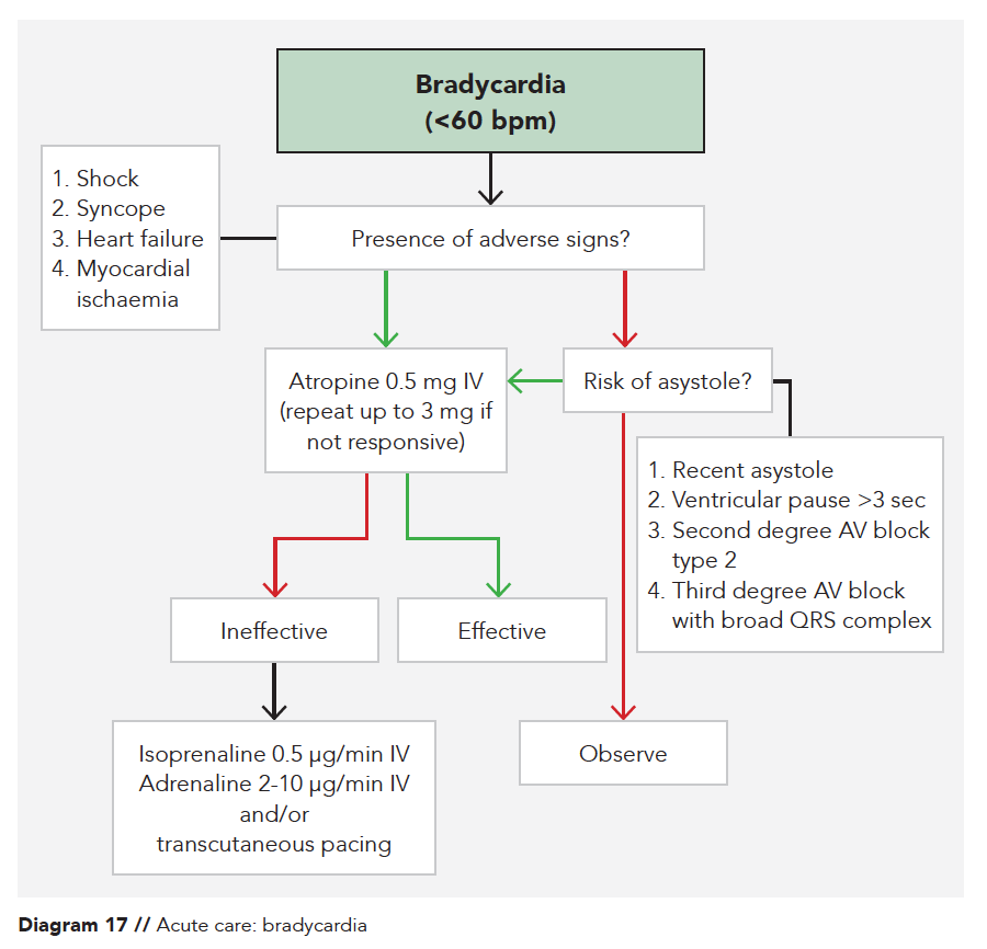 Diagram pocket Cardiology - acute care in case of bradycardia