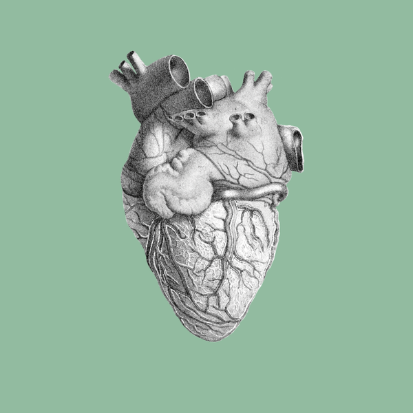 Cardiology and Vascular Medicine
