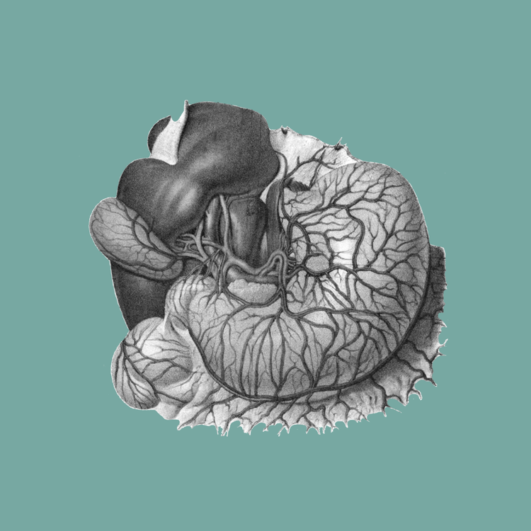 Gastroenterology & Hepatology (Online Subscription)