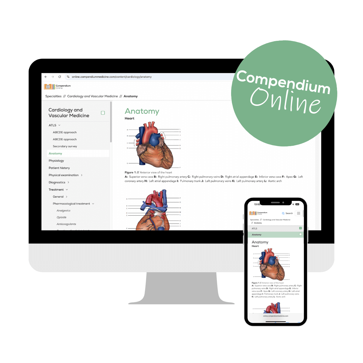 Laptop and phone screen with a preview of Cardiology and vascular medicine