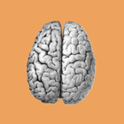 Neurology (Online Subscription)