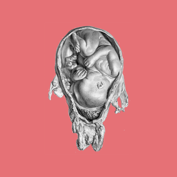 Obstetrics and Gynaecology