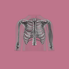 Radiology (Online Subscription)