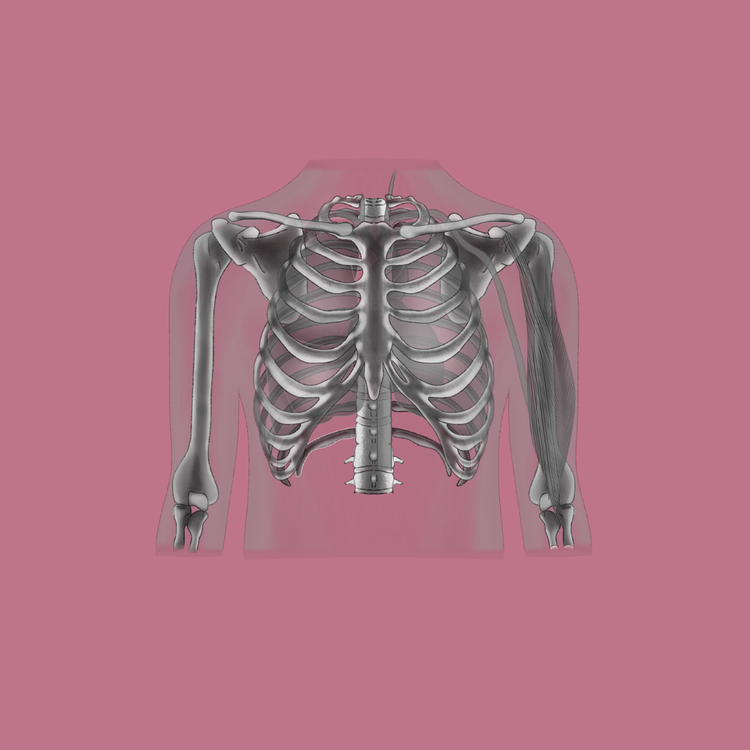 Radiology (Online Subscription)