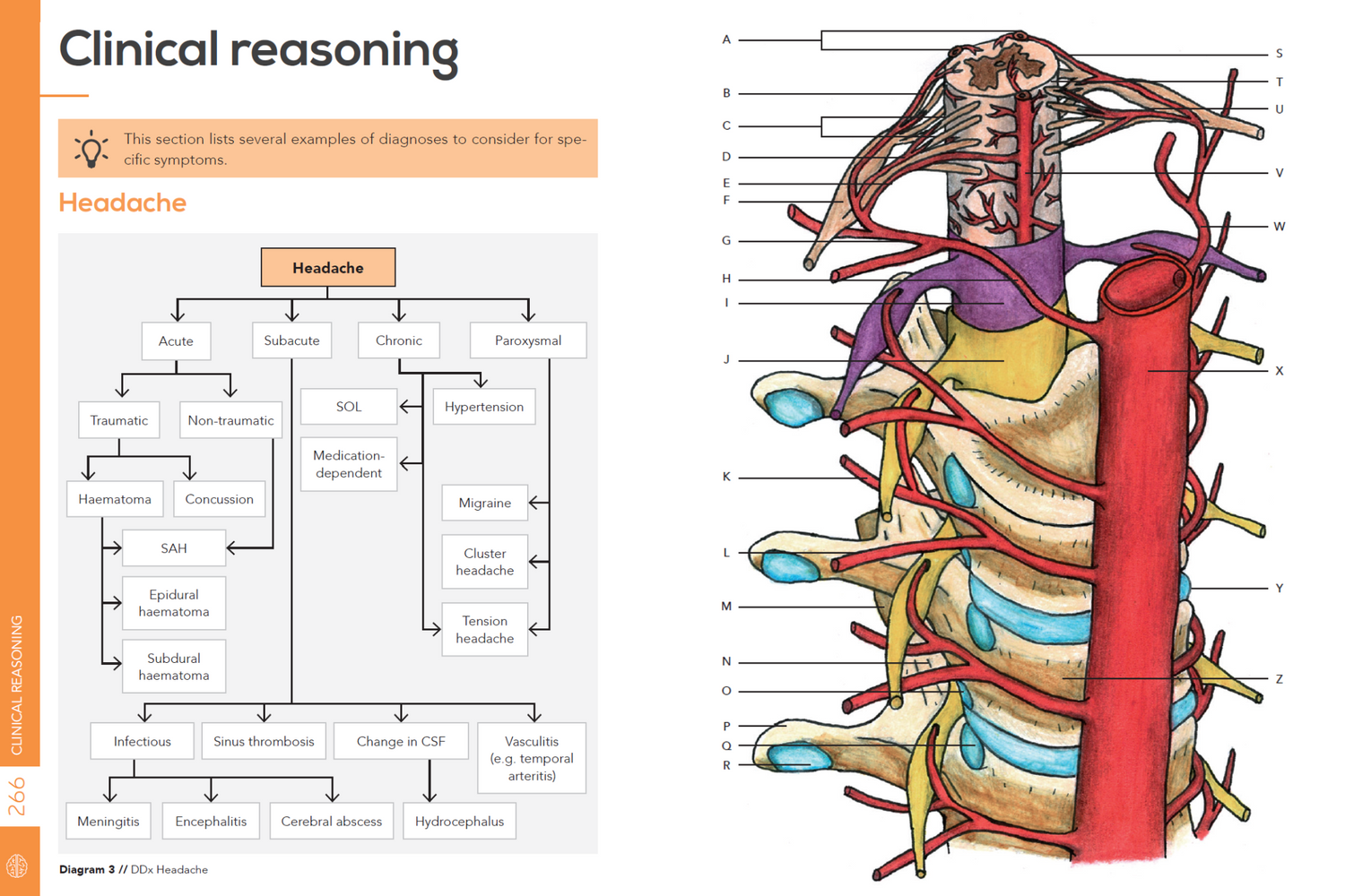 clinical reasoning headache and blood supply spinal cord
