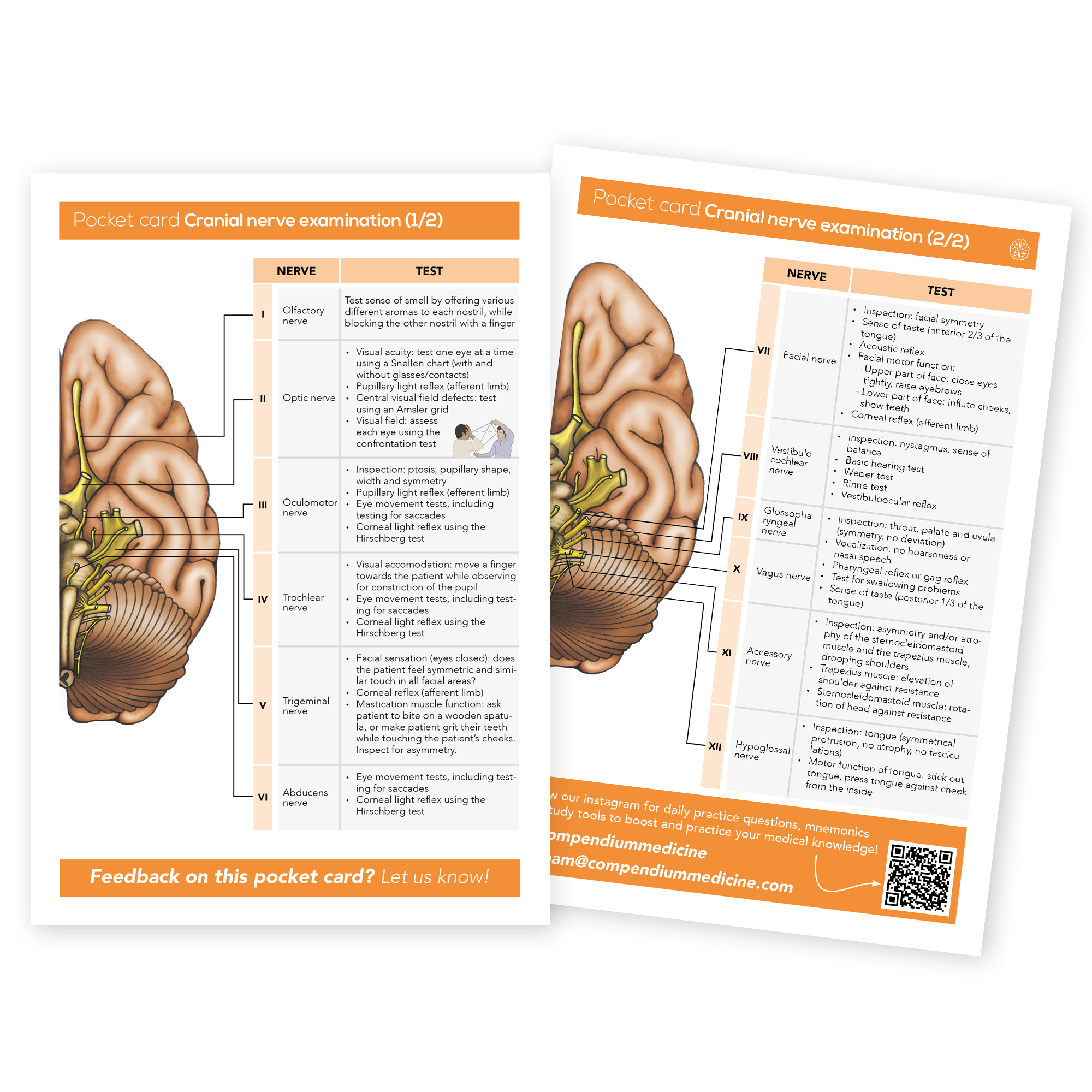 neurology-pocket-card-cranial-nerve-examination-compendium-medicine